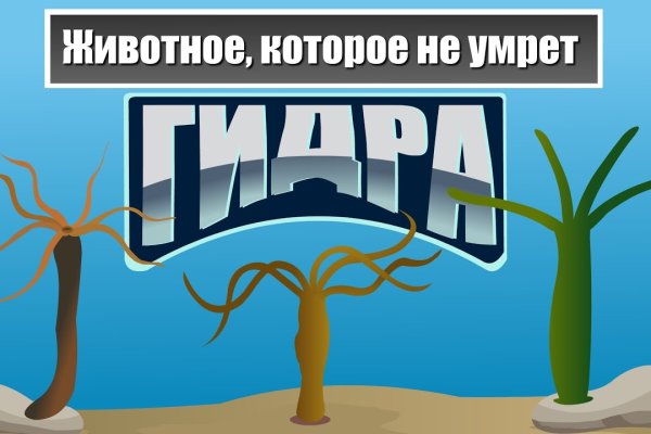 Дарк маркетплейс кракен