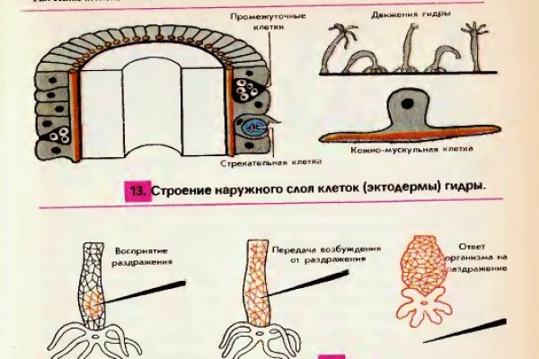 Kraken фейк сайт